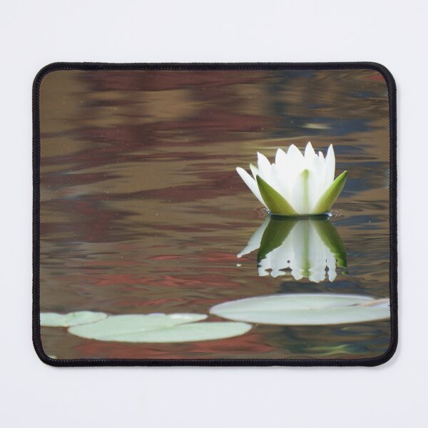 Item preview, Pretty White Water Lily designed and sold by aligata1970.