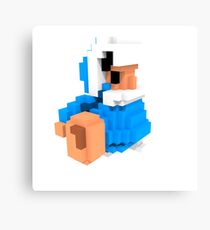 Ice climber Voxel art amiibo Canvas Print
