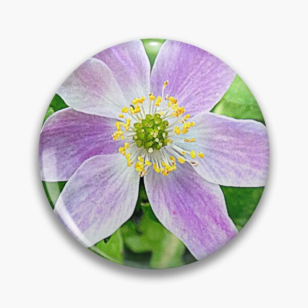 Item preview, Wood Anemone designed and sold by angel1.
