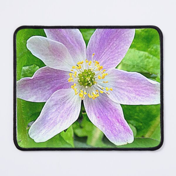 Item preview, Wood Anemone designed and sold by angel1.
