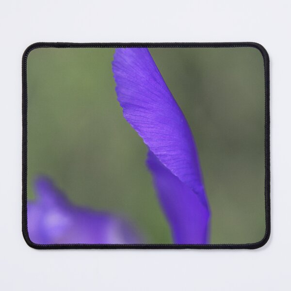 Item preview, Purple Dutch Iris Petal designed and sold by Joy Watson - Natural Light Photography .