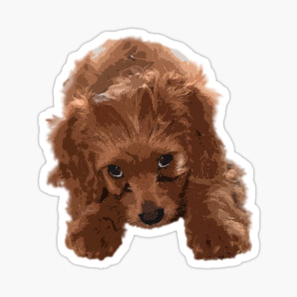 Item preview, cavoodle puppy painted designed and sold by lilyshanaee.