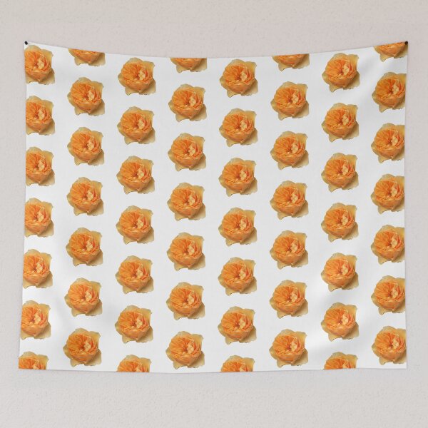 Item preview, Apricot Rose Photo designed and sold by Sally Cummings.