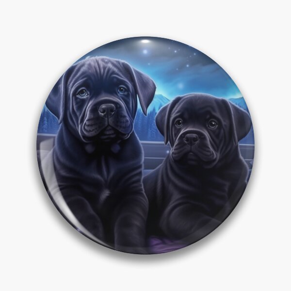 Artikelvorschau, Cane Corso-Welpen entworfen und verkauft von Nocturne Paws.