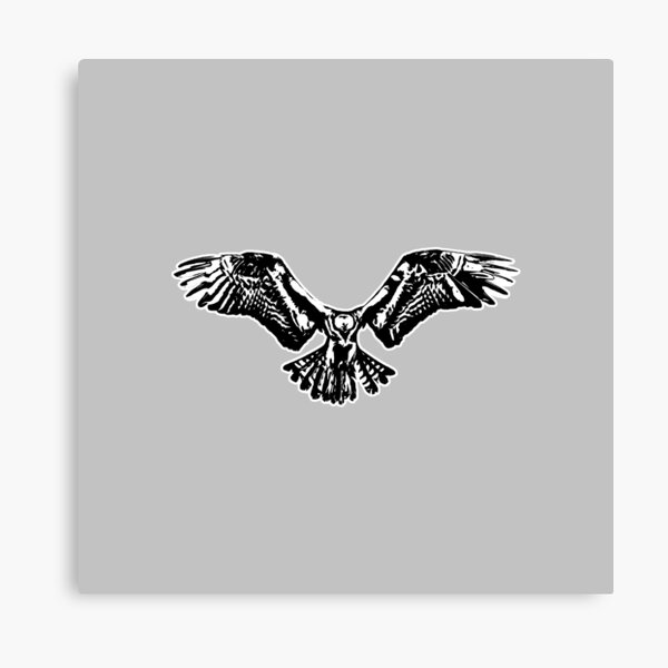 Falcon black shop and white sale