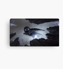 Noctua Canvas Print