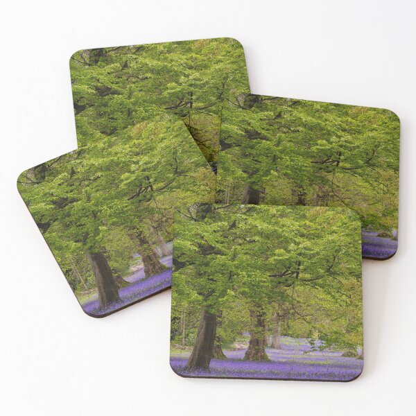 Item preview, Enchanted Bluebell Wood in Cornwall designed and sold by kathleenjean.