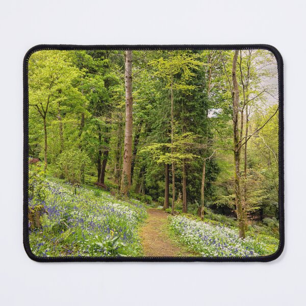 Item preview, pathway threw the bluebell woods designed and sold by kathleenjean.