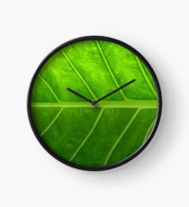 leaf Clock