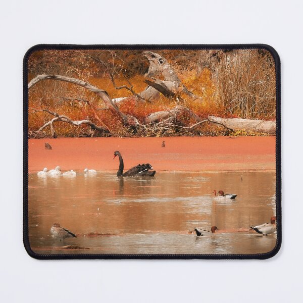 Item preview, Autumn in Mannum SA Australia designed and sold by Candy Jubb.
