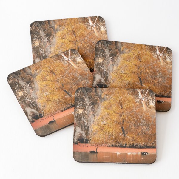 Item preview, Black Swan on the Murray River (Mannum SA Australia) designed and sold by Candy Jubb.