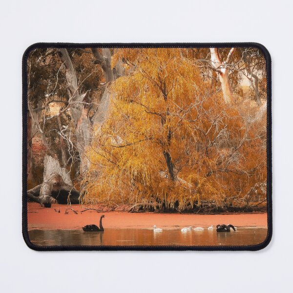 Item preview, Black Swan on the Murray River (Mannum SA Australia) designed and sold by Candy Jubb.