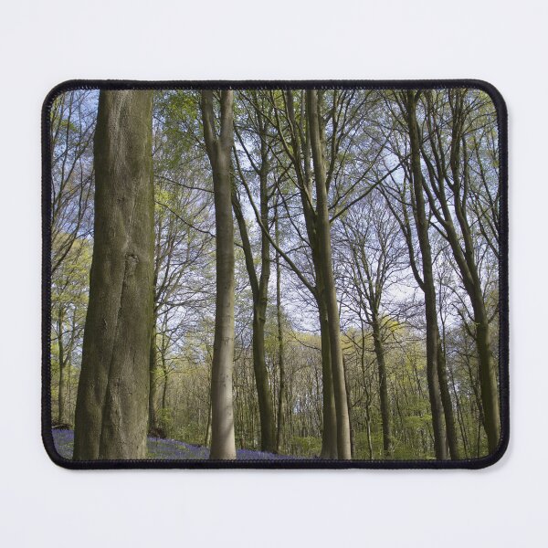Item preview, Neigembos Spring Forest View, Belgium designed and sold by Imladris01.
