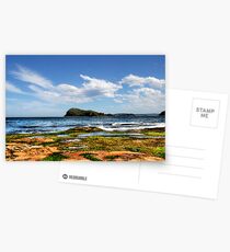 Lion Island Postcards