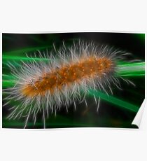 Fractalius Caterpillar Poster
