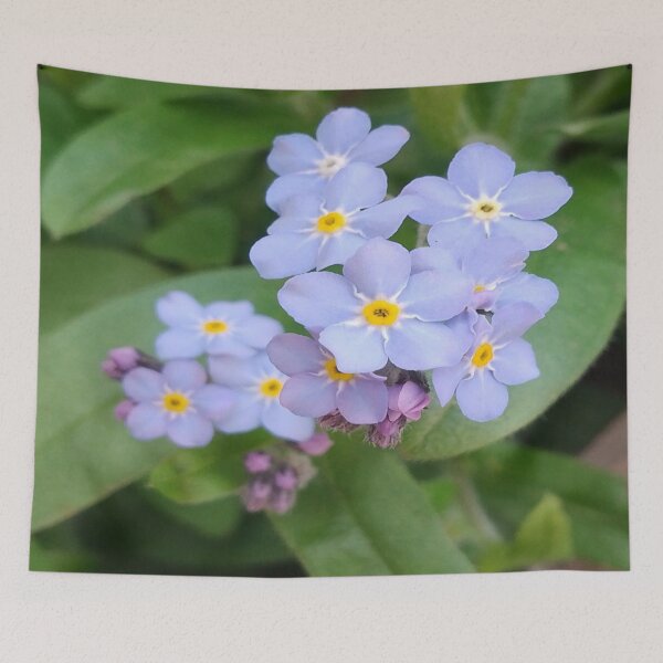 Item preview, Flores nomeolvides designed and sold by JANDR-Designs.