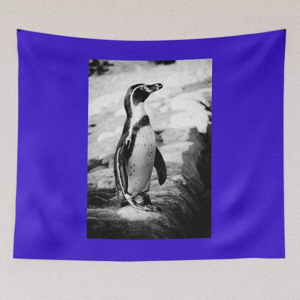 Item preview, Humboldt penguin waterside black and white vertical designed and sold by eddiebarronshop.