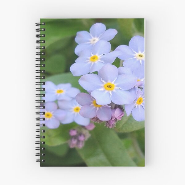 Artikelvorschau, Vergissmeinnicht-Blumen entworfen und verkauft von JANDR-Designs.