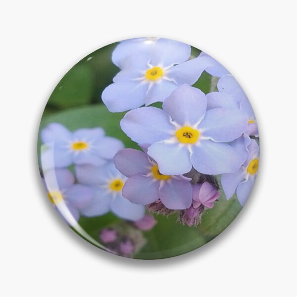Item preview, Forget-Me-Not Flowers designed and sold by JANDR-Designs.