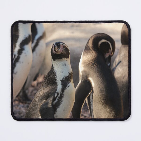 Item preview, Penguins on pebbles nature lovers vertical designed and sold by eddiebarronshop.