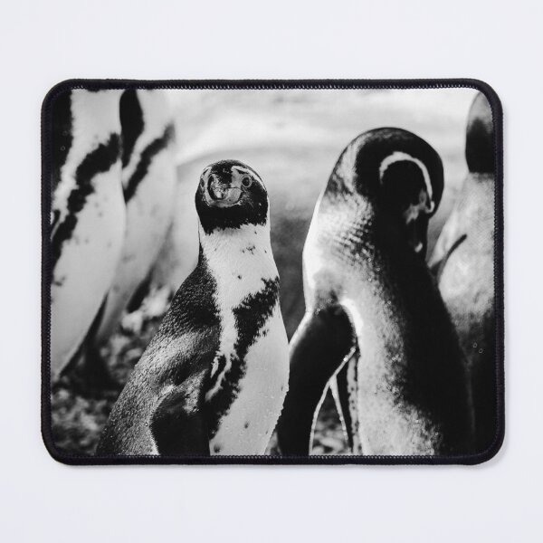 Item preview, Penguins on pebbles vertical black and white designed and sold by eddiebarronshop.