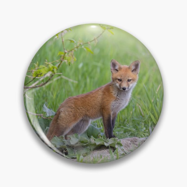 Item preview, Red fox kit designed and sold by James Cumming.