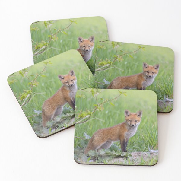 Item preview, Red fox kit designed and sold by James Cumming.