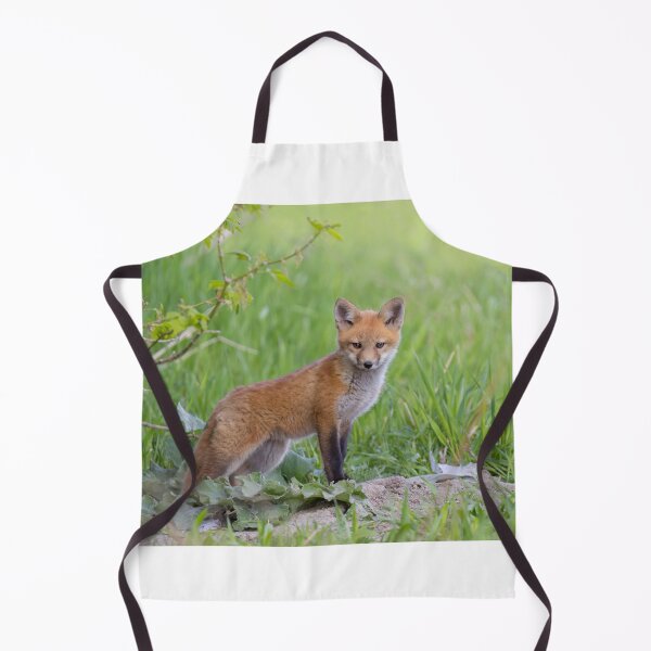 Item preview, Red fox kit designed and sold by James Cumming.