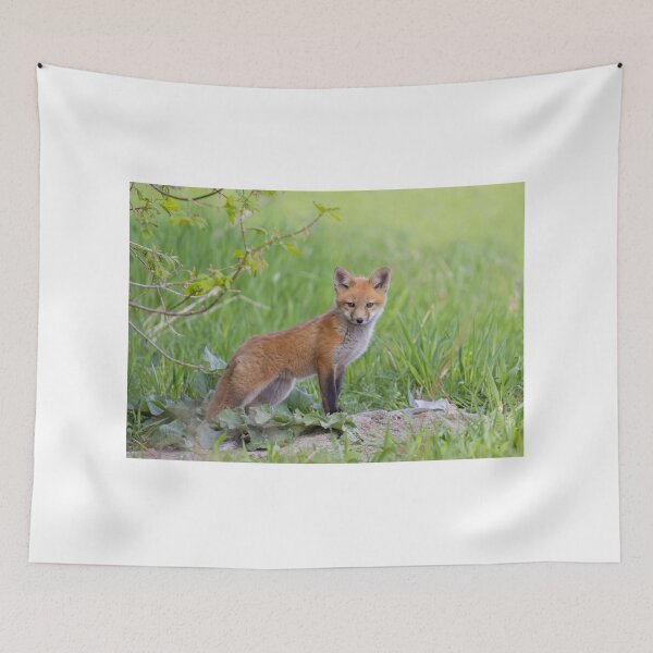 Item preview, Red fox kit designed and sold by James Cumming.