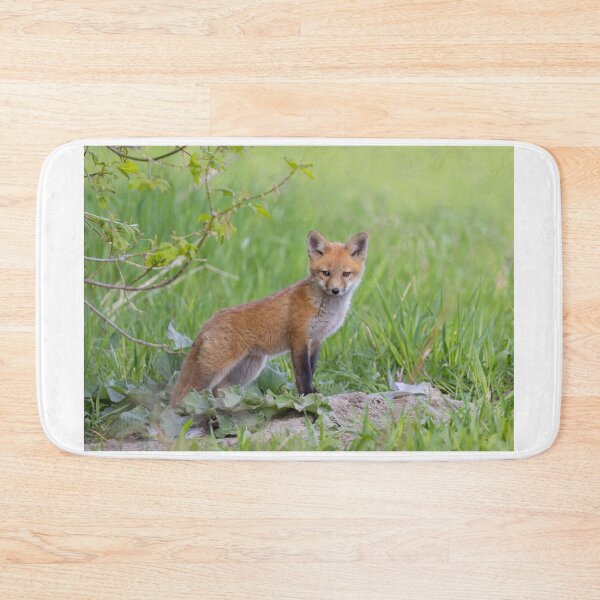 Item preview, Red fox kit designed and sold by James Cumming.