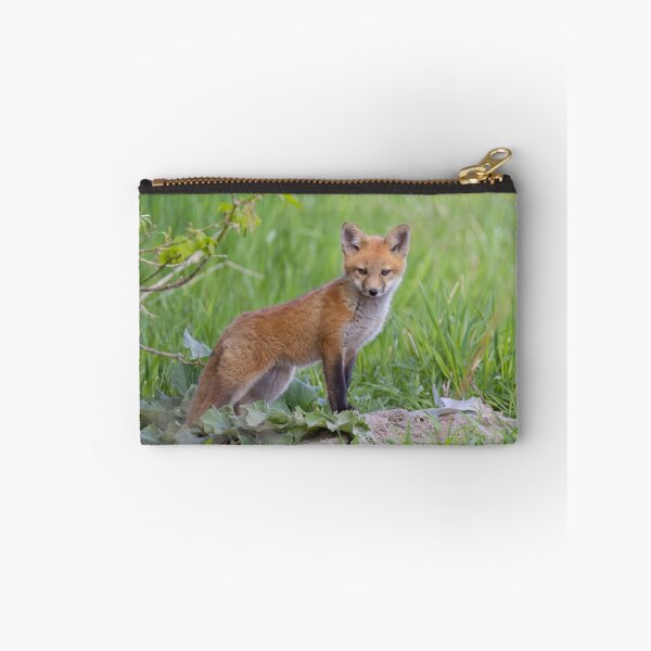 Item preview, Red fox kit designed and sold by James Cumming.