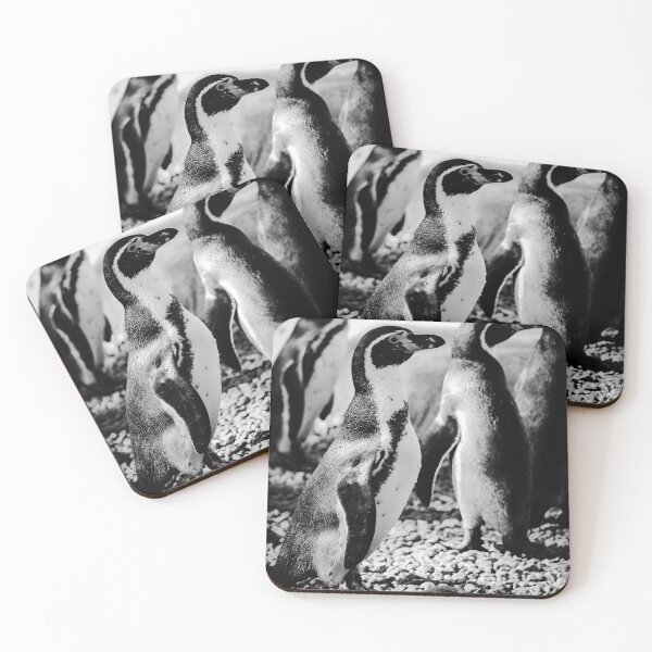 Item preview, Humboldt penguins on pebbles vertical black and white designed and sold by eddiebarronshop.