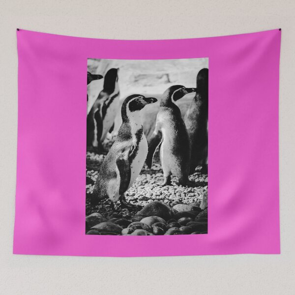 Item preview, Humboldt penguins on pebbles vertical black and white designed and sold by eddiebarronshop.