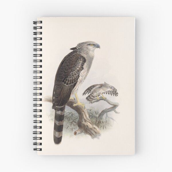 Item preview,  Vintage illustration of crested eagle, biology book designed and sold by Lacasadellora.