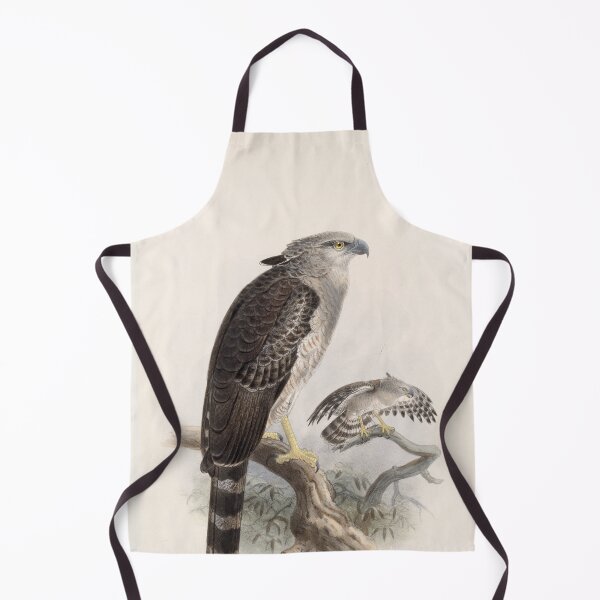 Item preview, Vintage illustration of crested eagle, biology book designed and sold by Lacasadellora.