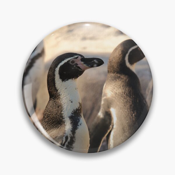 Item preview, Humboldt penguins on pebbles nature beauty designed and sold by eddiebarronshop.