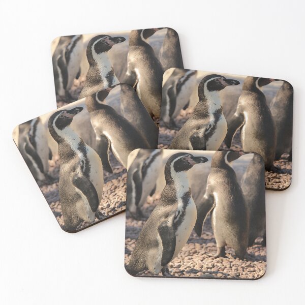 Item preview, Humboldt penguins on pebbles nature beauty designed and sold by eddiebarronshop.