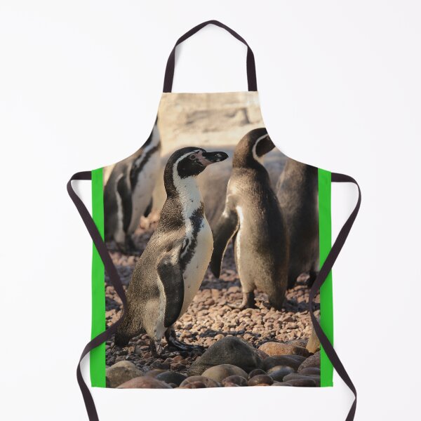 Item preview, Humboldt penguins on pebbles nature beauty designed and sold by eddiebarronshop.