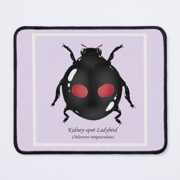 Item preview, Kidney-spot ladybird designed and sold by dinosaphira99.