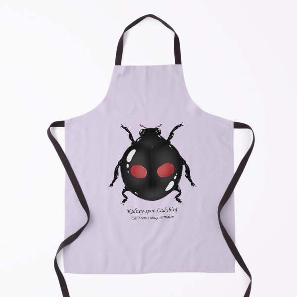 Item preview, Kidney-spot ladybird designed and sold by dinosaphira99.