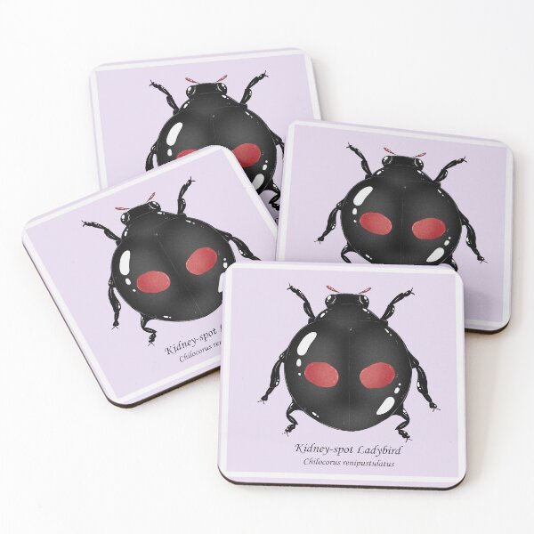 Item preview, Kidney-spot ladybird designed and sold by dinosaphira99.
