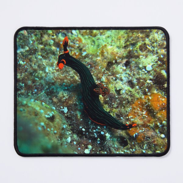 Item preview, Nembrotha kubaryana nudibranch designed and sold by likbatonboot.