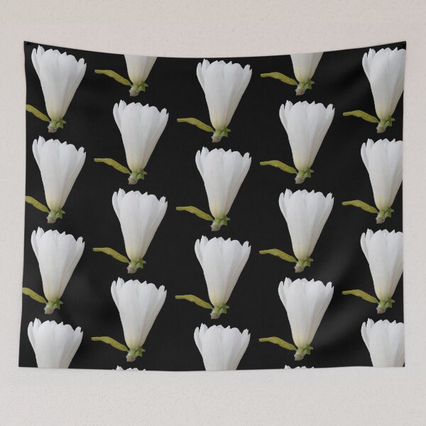 Item preview, Magnolia Blooming - black background designed and sold by Louise-Mae.