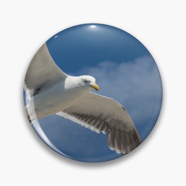 Item preview, Seagull in flight designed and sold by HaleyRedshaw.