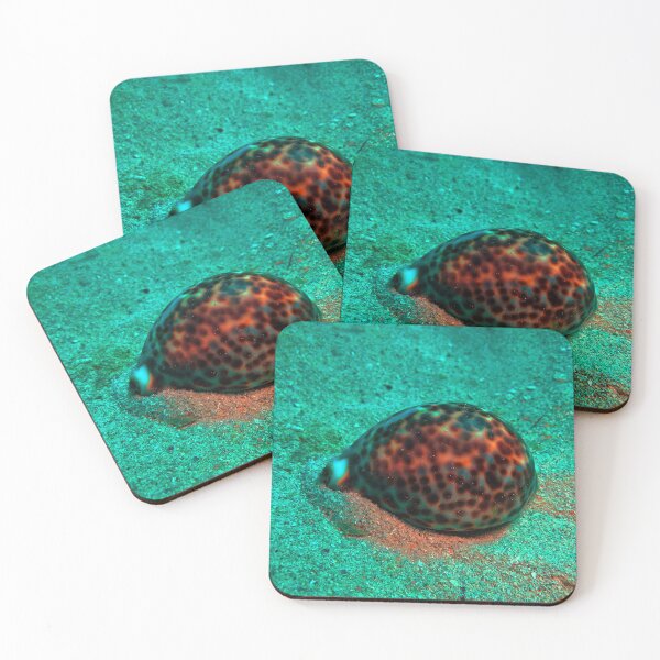Item preview, Tiger Cowrie Sea Snail designed and sold by likbatonboot.