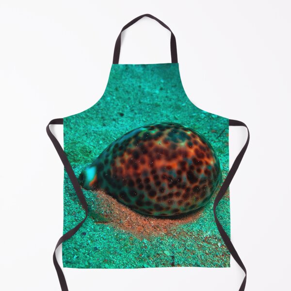 Item preview, Tiger Cowrie Sea Snail designed and sold by likbatonboot.