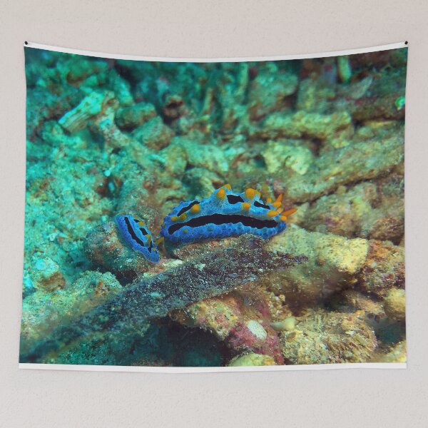 Item preview, Purple nudibranch designed and sold by likbatonboot.