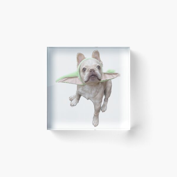 Item preview, Dinky with ears designed and sold by pheebert23.