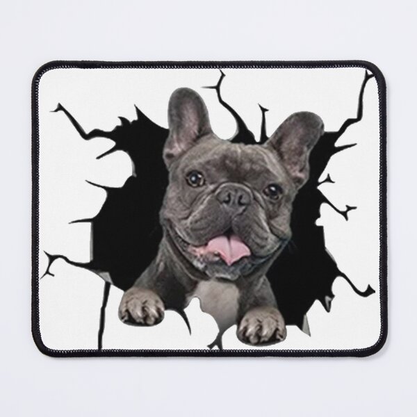 Item preview, Pitbull Crack designed and sold by the--best-art.
