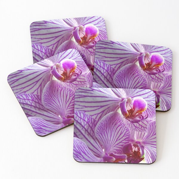 Artikelvorschau, CLOSE UP OF PINK STRIPE ORCHID FLOWERS entworfen und verkauft von mymumsart.